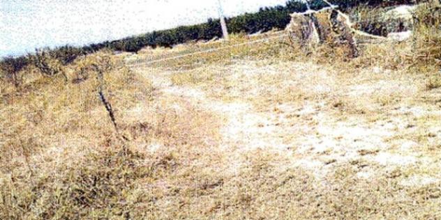 Immobile in asta di 17952 m² in vendita a Policoro - Foto 3