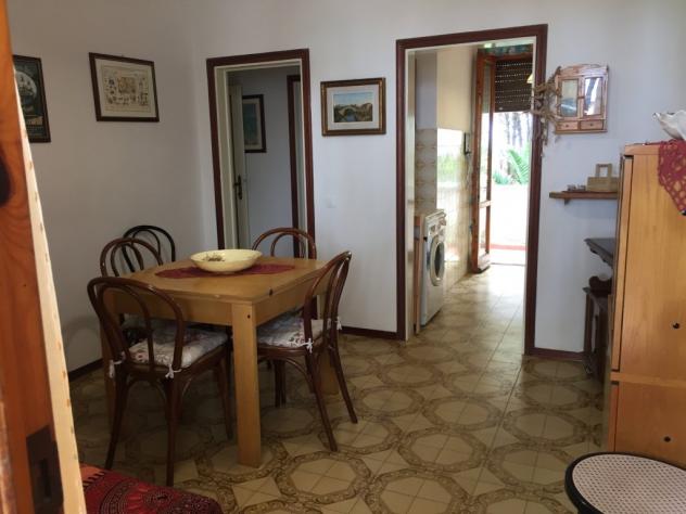 Appartamento in affitto a Rosignano Marittimo 65 mq Rif: 702473 - Foto 3