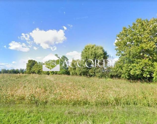 AREA EDIFICABILE di 1250 mq (TREVIGNANO) rif. DG339 - Foto 8