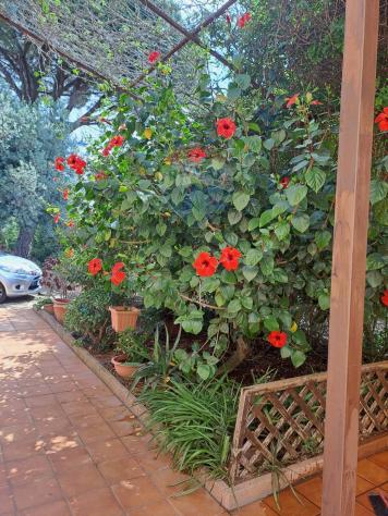 Villa singola in vendita a Acate - Foto 12