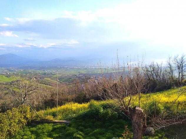 Appartamento in vendita a Castel Frentano - Foto 6