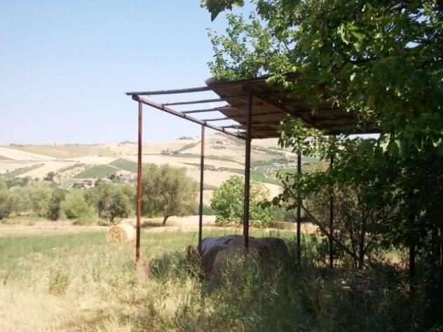 Casale in vendita a Offida