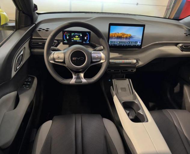 BYD DOLPHIN SURF BOOST 88cv Batteria 43.2kwh - Foto 10