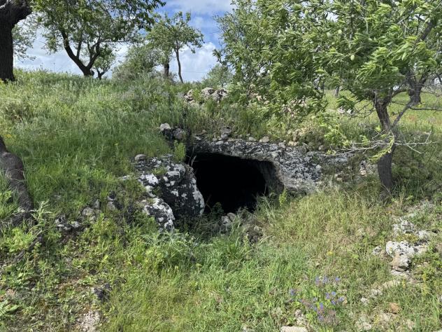 Terreno Agricolo - Noto . Rif.: Cod. rif 3321426VRG - Foto 11