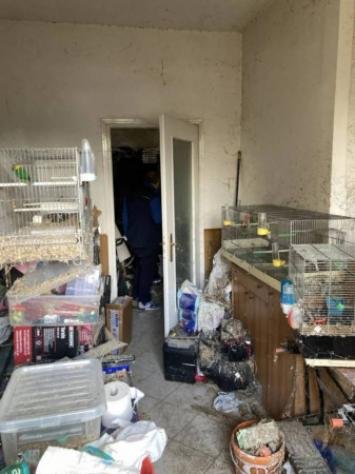 Immobile in asta di 111 m² in vendita a Scandicci - Foto 15