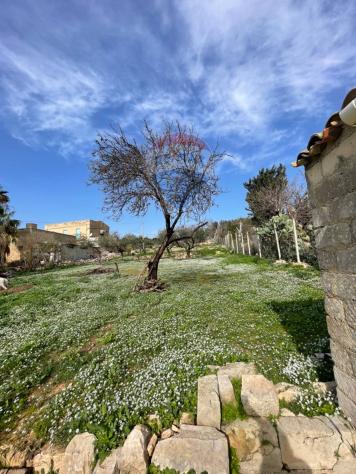 Villa o villino in vendita a Scicli, Donnalucata - Foto 7
