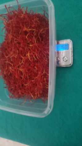 Giardiniere, bracciante agricolo , contadino, coltivatore - Foto 2