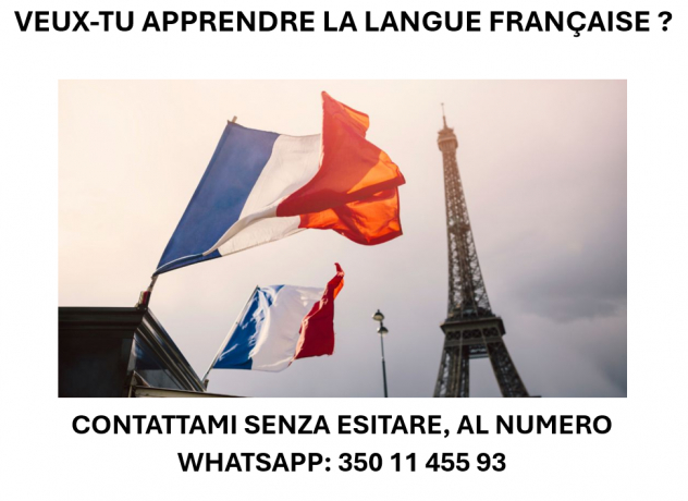 DOCENZA DI FRANCESE ON LINE A QUALSIASI LIVELLO