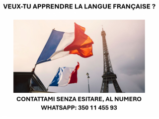 DOCENZA DI FRANCESE ON LINE A QUALSIASI LIVELLO