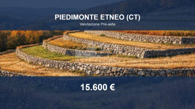 Immobile in asta di 3180 m² in vendita a Piedimonte Etneo