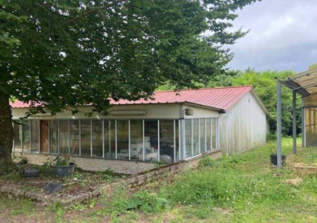 Immobile in asta di 40000 m² in vendita a Velletri - Foto 7