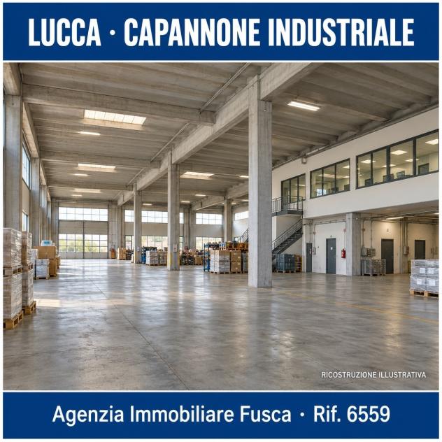 Industriale/Artigianale in vendita a Lucca - Foto 9