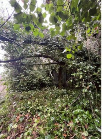 Immobile in asta di 165 m² con più di 5 locali in vendita a Paganico Sabino - Foto 4