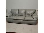 Divani Natuzzi in Vera Pelle Verde Acqua - Condizioni Impeccabili