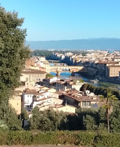 Assistenza familiare/compagnia