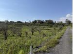 Agricolo in vendita a Acireale