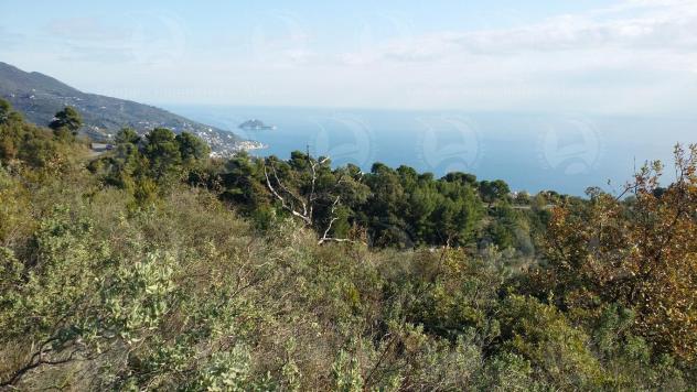 Alassio Andora, terreno incolto collinare, vista mare.