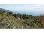 Alassio Andora, terreno incolto collinare, vista mare.