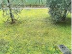 BORGOS LORENZO Appartamento Un Angolo di Paradiso RIF A154