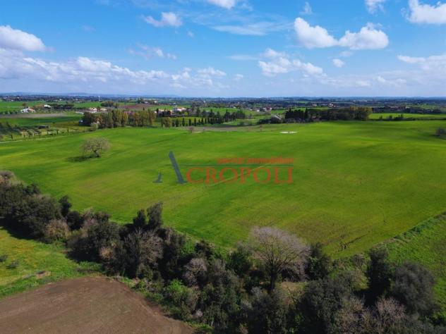 Terreno Agricolo - Rif. 2468 - Foto 11