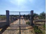 Terreno in vendita a Motta Sant'Anastasia
