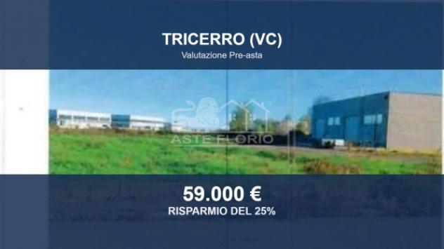 Immobile in asta di 2810 m² in vendita a Tricerro
