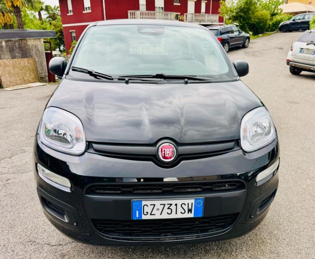Fiat Panda 1.0 FireFly S&S Hybrid Pandina - Foto 3