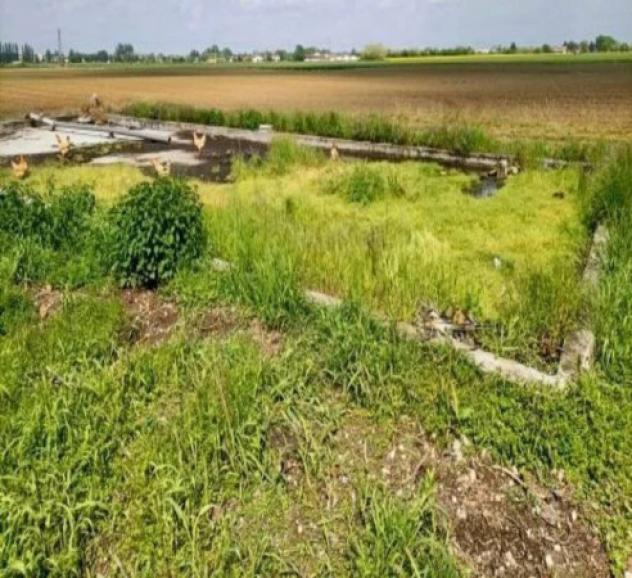 Immobile in asta di 838 m² in vendita a Curtatone - Foto 4
