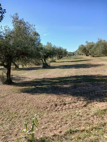 Magazzino in vendita a Loreto Aprutino - Foto 18