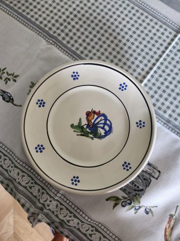 Servizio piatti galletto - Foto 7