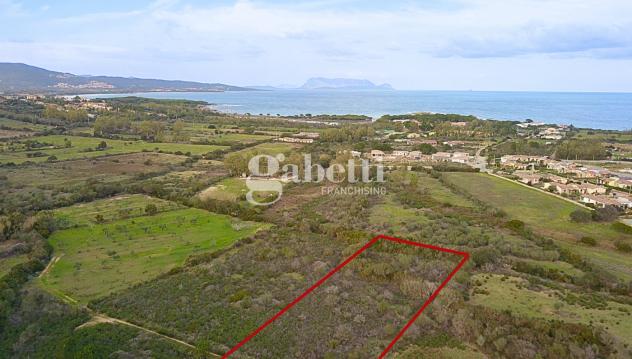 Terreno Agricolo - Budoni . Rif.: Cod. rif 3204979VCG