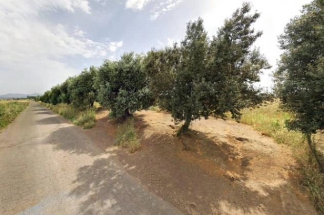 Immobile in asta di 1848 m² in vendita a Roma - Foto 14