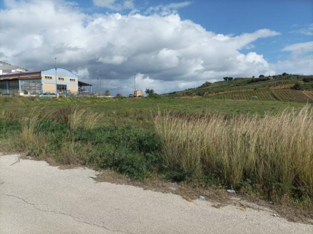 Immobile in asta di 8659 m² in vendita a Delia - Foto 5