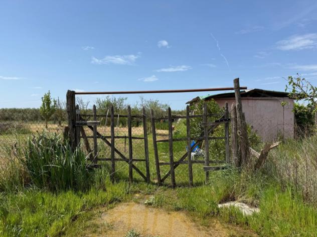 TERRENO AGRICOLO di 2134 mq (GROSSETO - Grosseto) rif. TE.43