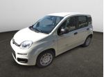 FIAT Panda MY25 1.0 70cv Hybrid