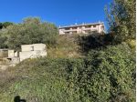 Agricolo in vendita a Segni