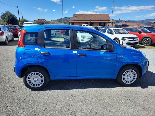 FIAT Pandina PANDA MY26 1.0 65CV HYBRID ICON - Foto 8