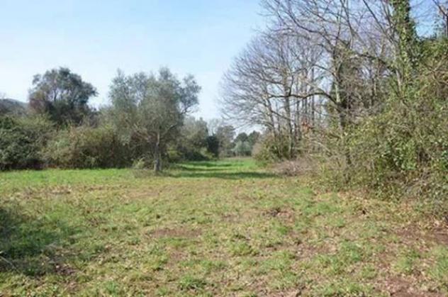 Immobile in asta di 173 m² in vendita a Pietramelara - Foto 6