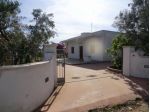 Freschissima casa vacanza immersa negli ulivi salentini !