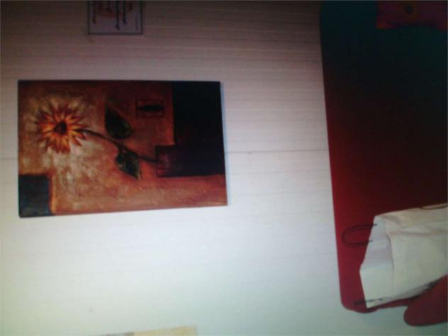 A1224_turistico - In affitto a Marsala prefabbricato vicino mare - Foto 7