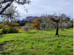 Terreno edificabile in vendita a Lugnano in Teverina