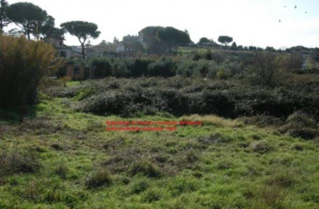 Immobile in asta di 6756 m² in vendita a Marino - Foto 5