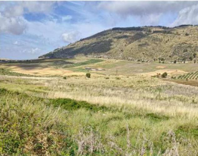 Immobile in asta di 155290 m² in vendita a Salemi - Foto 6