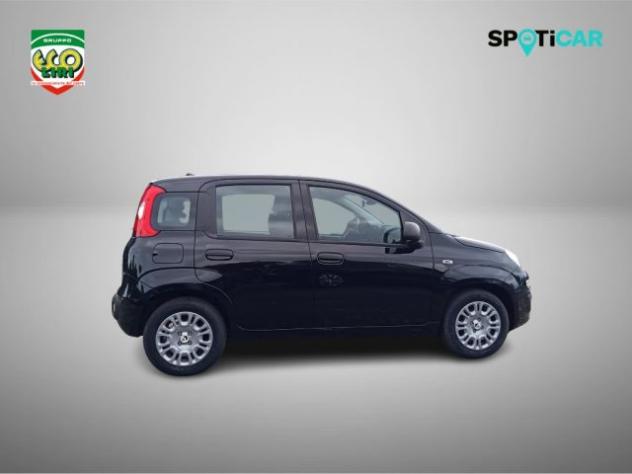FIAT Panda 1.0 FireFly S&S Hybrid+GPL rif. 24175603 - Foto 4