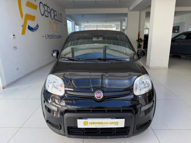 FIAT Panda 1.0 FireFly S&S Hybrid sport tua da €139,00 mensil rif. 24193228 - Foto 6