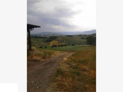 Azienda Agricola in Val d''Enza - Foto 4