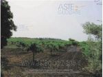 IMMOBILI-ALTRA CATEGORIA-Regione Agraria n.6, zona denominata Colline Litor &hellip;