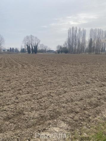 Terreno a Sant'Angelo di Piove di Sacco - Rif. SPDS16 - Foto 2