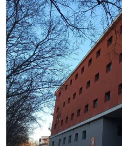 Immobile in asta di 759 m² con più di 5 locali e box auto in vendita a Concamarise - Foto 4