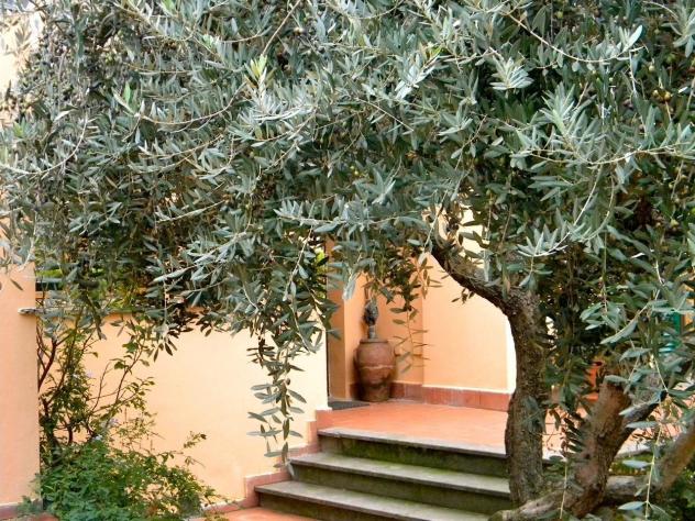 Villa in vendita a Campo - San Giuliano Terme 570 mq Rif: 963213 - Foto 8